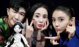 爆料娱乐圈舆论,揭秘幕后真相与明星命运转折